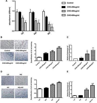 High Glucose Aggravates Cholesterol Accumulation in Glomerular Endothelial Cells Through the LXRs/LncRNAOR13C9/ABCA1 Regulatory Network